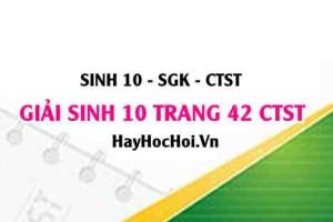 Giải Sinh 10 trang 42 Chân trời sáng tạo SGK